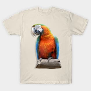 PAROT T-Shirt